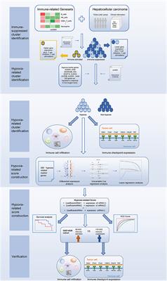 Hypoxic Characteristic in the Immunosuppressive Microenvironment of Hepatocellular Carcinoma